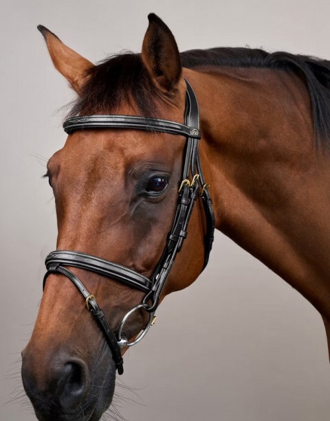 Ogłowie Dy'on D Collection Flash Noseband