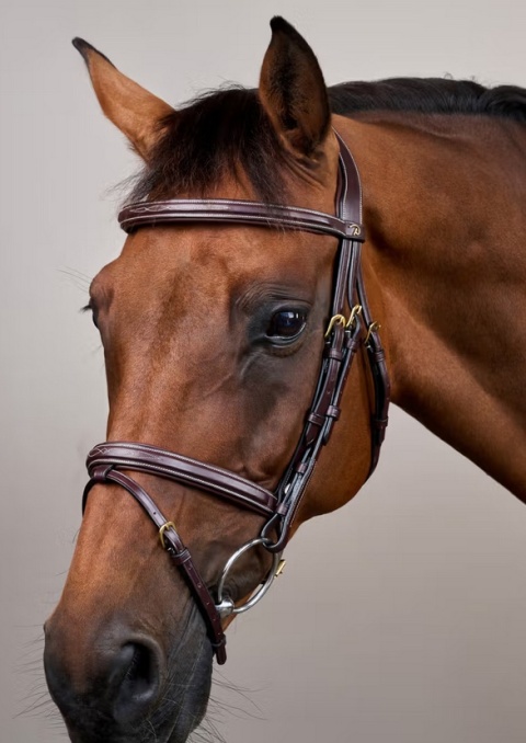 Ogłowie Dy'on D Collection Flash Noseband