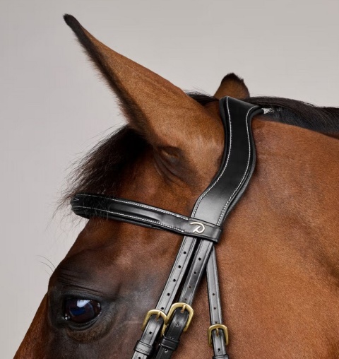 Ogłowie Dy'on D Collection Flash Noseband