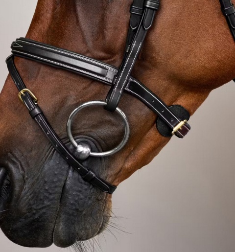 Ogłowie Dy'on D Collection Flash Noseband