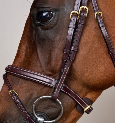 Ogłowie Dy'on D Collection Flash Noseband