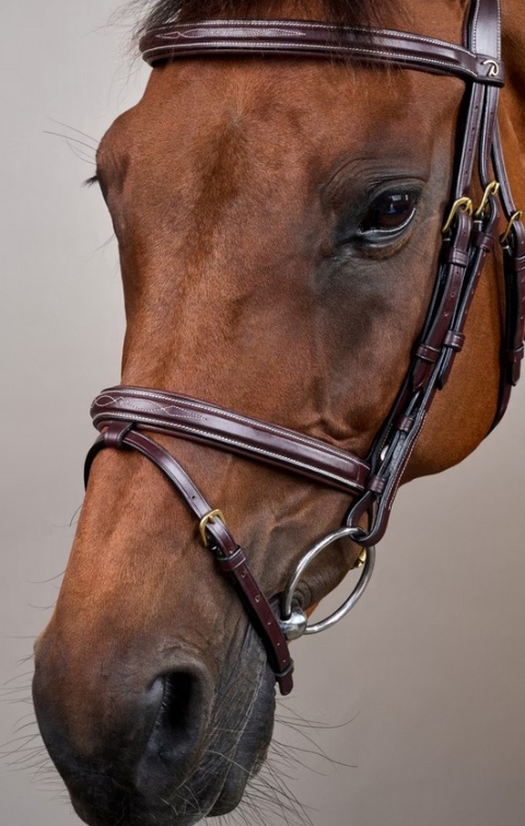 Ogłowie Dy'on D Collection Flash Noseband