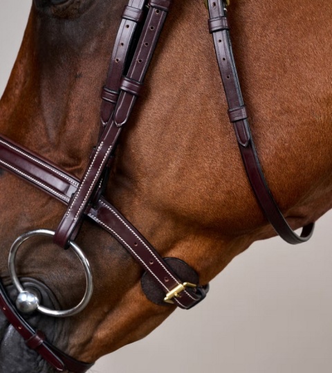 Ogłowie Dy'on D Collection Flash Noseband