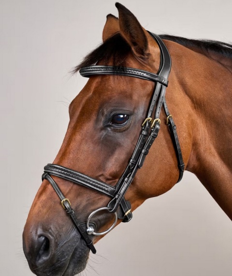 Ogłowie Dy'on D Collection Plaited