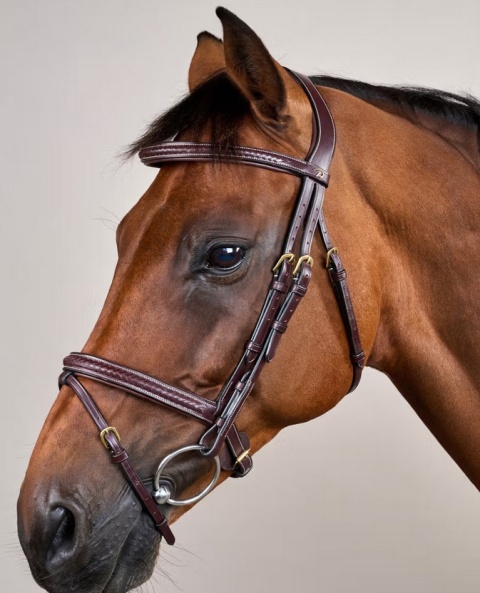 Ogłowie Dy'on D Collection Plaited