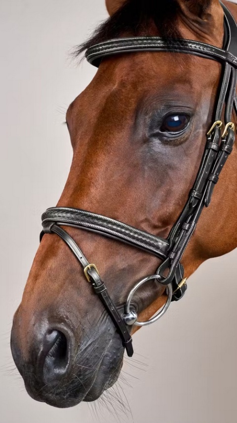 Ogłowie Dy'on D Collection Plaited