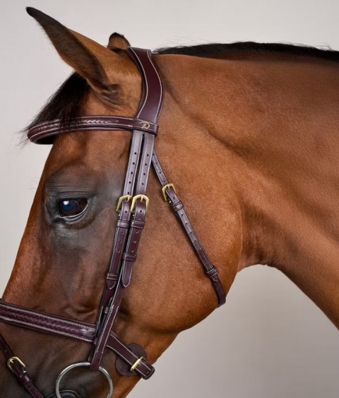 Ogłowie Dy'on D Collection Plaited