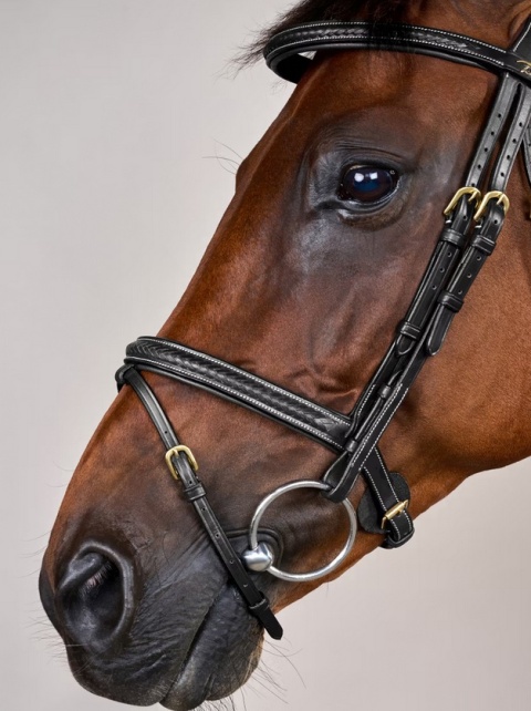 Ogłowie Dy'on D Collection Plaited