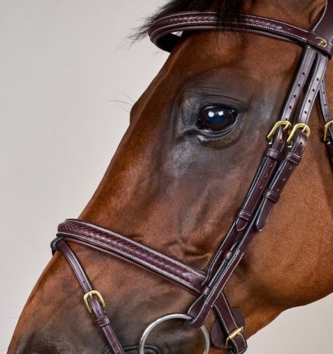 Ogłowie Dy'on D Collection Plaited