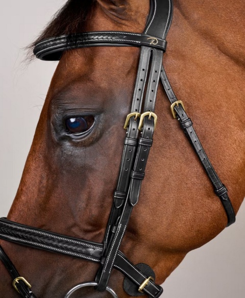 Ogłowie Dy'on D Collection Plaited