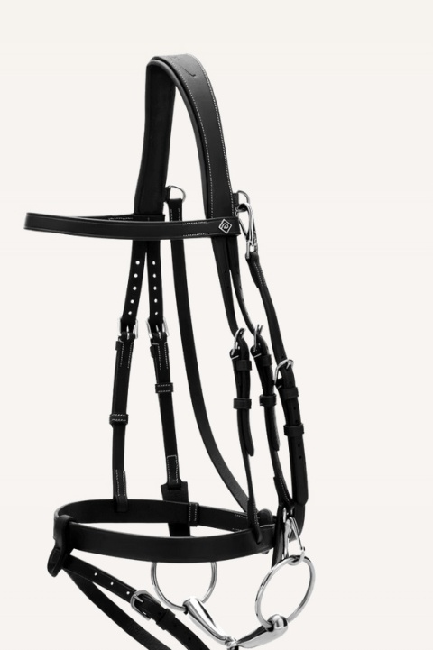 Ogłowie Dy'on Flat z karabińczykami Working