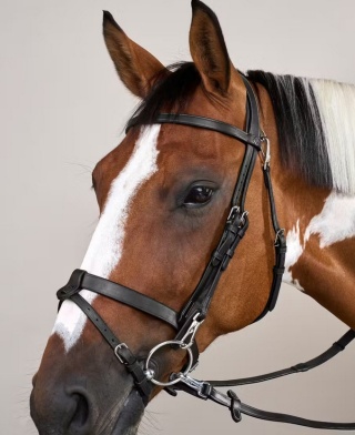 Ogłowie Dy'on Flat z karabińczykami Working