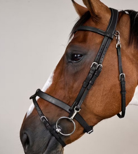 Ogłowie Dy'on Flat z karabińczykami Working