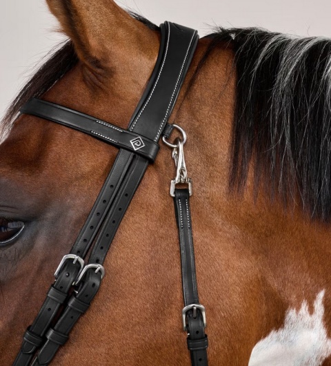 Ogłowie Dy'on Flat z karabińczykami Working