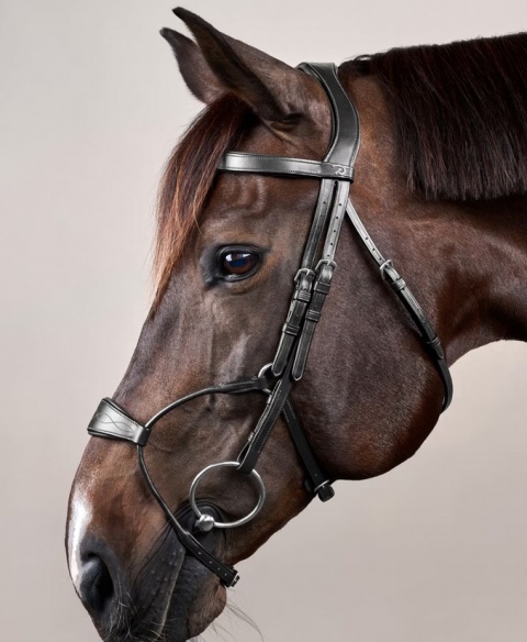 Ogłowie Dy'on Hybrid New English