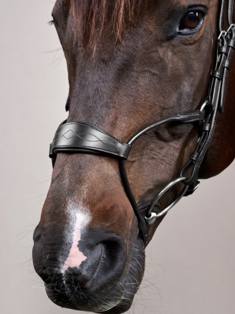 Ogłowie Dy'on Hybrid New English