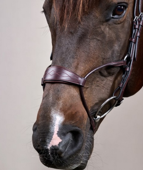 Ogłowie Dy'on Hybrid New English