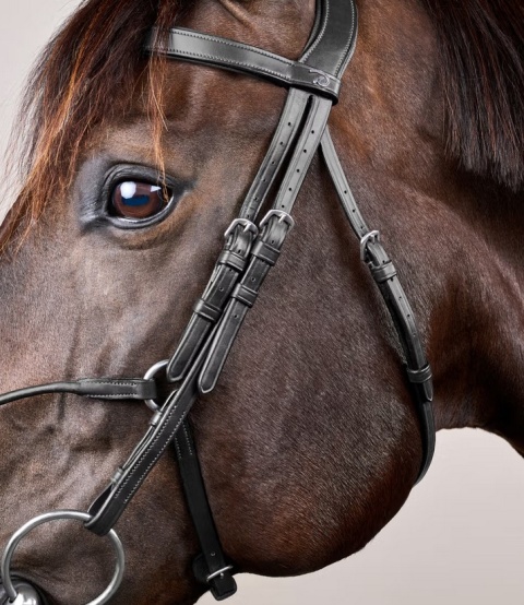 Ogłowie Dy'on Hybrid New English