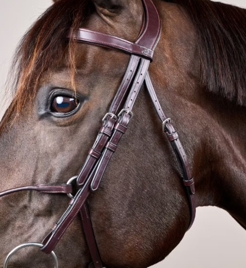 Ogłowie Dy'on Hybrid New English