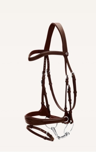 Ogłowie anatomiczne Dy'on z nachrapnikiem D Motion Working