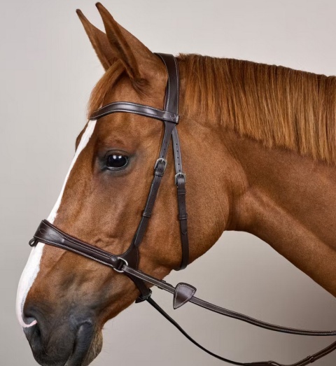 Ogłowie anatomiczne Dy'on z nachrapnikiem D Motion Working