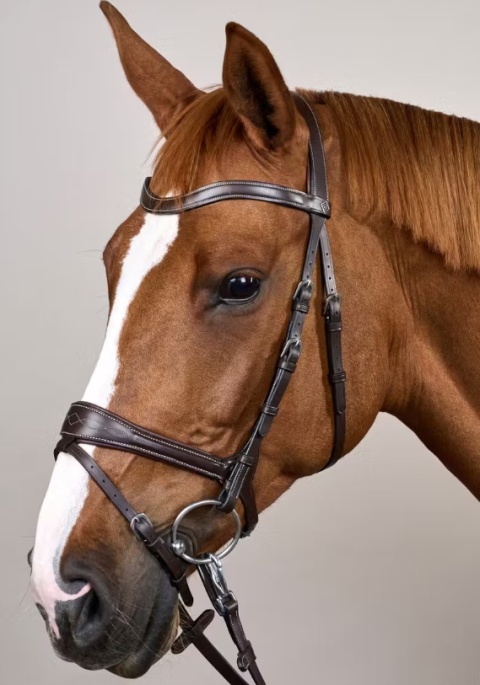 Ogłowie anatomiczne Dy'on z nachrapnikiem D Motion Working