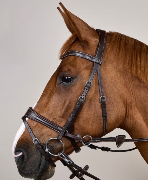 Ogłowie anatomiczne Dy'on z nachrapnikiem D Motion Working