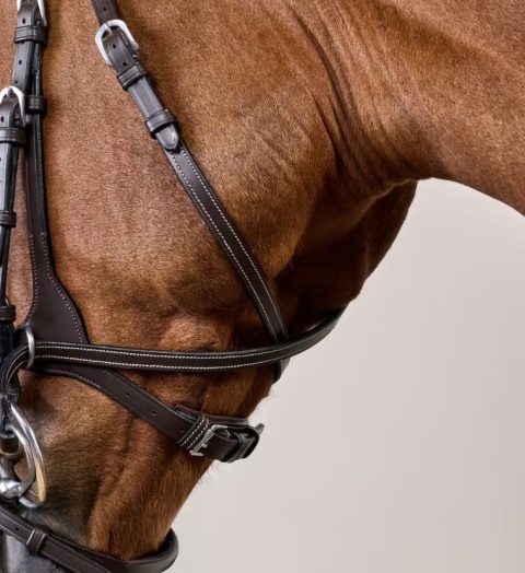 Ogłowie anatomiczne Dy'on z nachrapnikiem D Motion Working