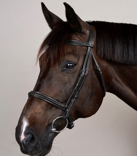 Ogłowie Dy'on New English Plaited bez skośnika