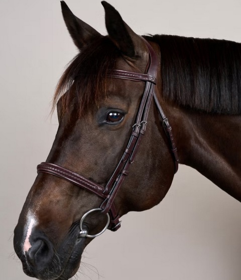 Ogłowie Dy'on New English Plaited bez skośnika