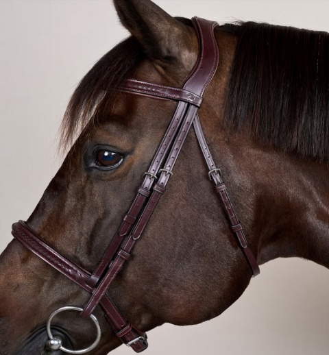 Ogłowie Dy'on New English Plaited bez skośnika