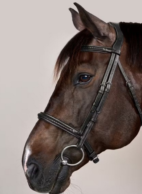 Ogłowie Dy'on New English Plaited bez skośnika