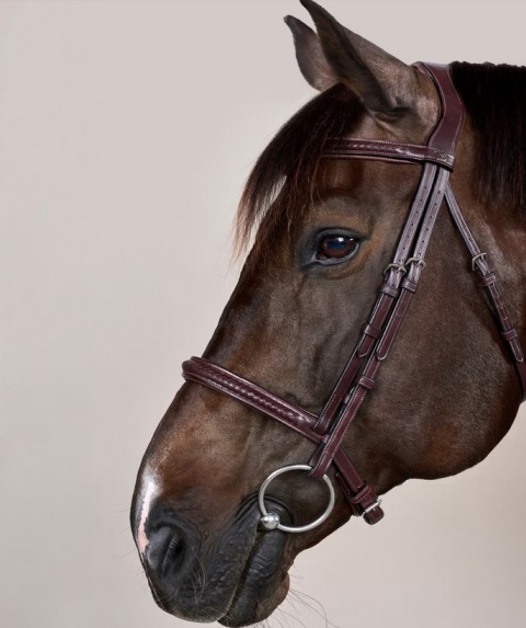 Ogłowie Dy'on New English Plaited bez skośnika