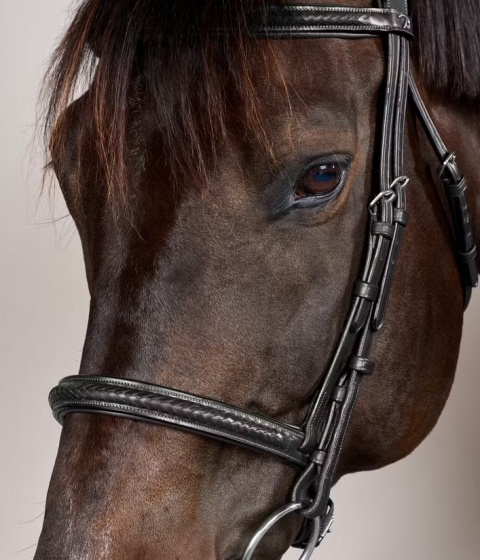 Ogłowie Dy'on New English Plaited bez skośnika