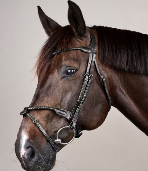 Ogłowie Dy'on New English z nachrapnikiem angielskim i plecionym naczółkiem