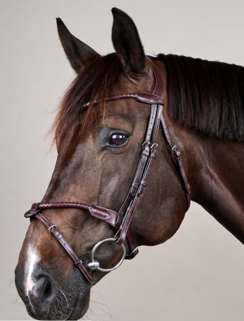 Ogłowie Dy'on New English z nachrapnikiem angielskim i plecionym naczółkiem