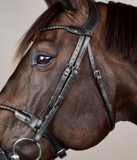 Ogłowie Dy'on New English z nachrapnikiem angielskim i plecionym naczółkiem