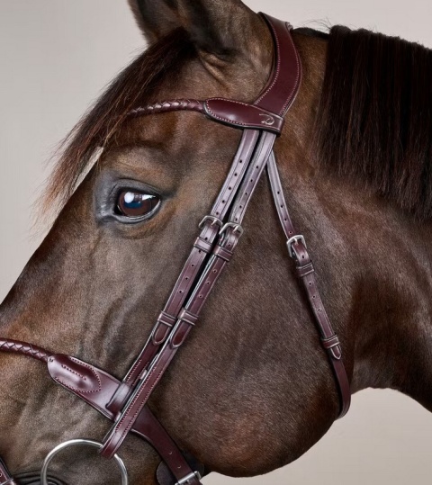 Ogłowie Dy'on New English z nachrapnikiem angielskim i plecionym naczółkiem