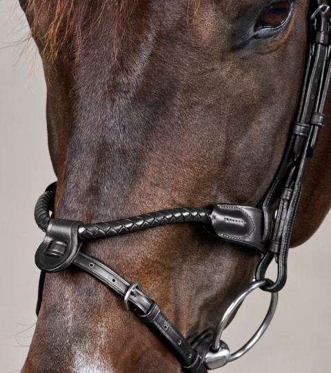 Ogłowie Dy'on New English z nachrapnikiem angielskim i plecionym naczółkiem