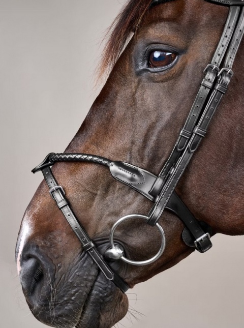 Ogłowie Dy'on New English z nachrapnikiem angielskim i plecionym naczółkiem