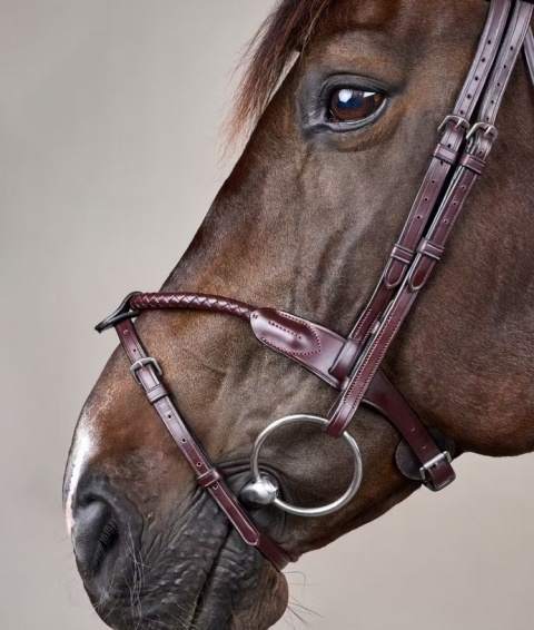 Ogłowie Dy'on New English z nachrapnikiem angielskim i plecionym naczółkiem