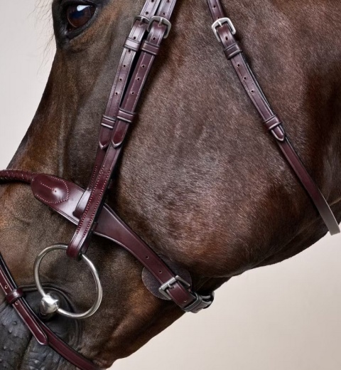 Ogłowie Dy'on New English z nachrapnikiem angielskim i plecionym naczółkiem