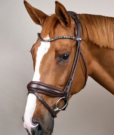 Ogłowie Dy'on Round Soft Leather z nachrapnikiem szwedzkim i kryształkami