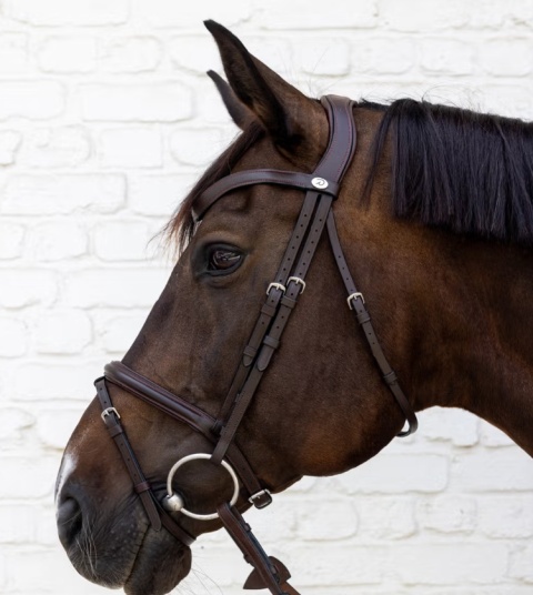 Ogłowie Dy'on Soft Leather ze skośnikiem New English