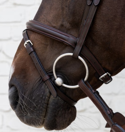 Ogłowie Dy'on Soft Leather ze skośnikiem New English