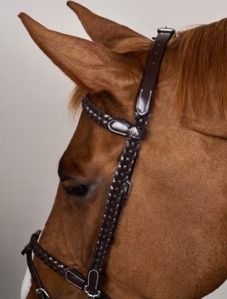 Ogłowie Dy'on Working Plaited z karabińczykami