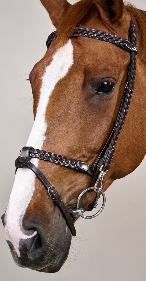 Ogłowie Dy'on Working Plaited z karabińczykami