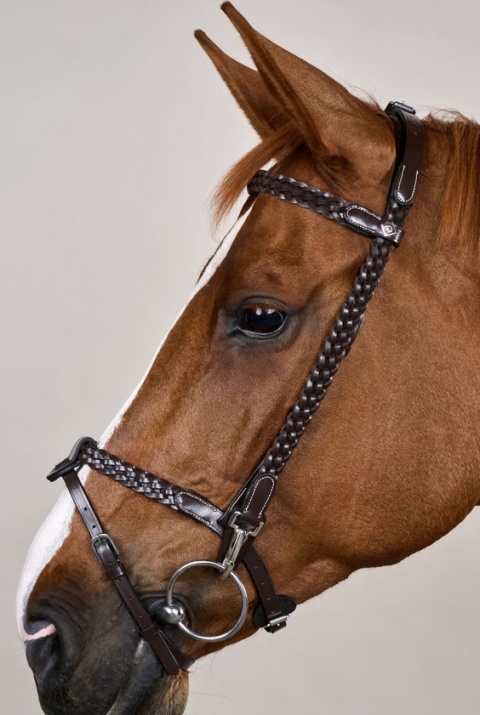 Ogłowie Dy'on Working Plaited z karabińczykami