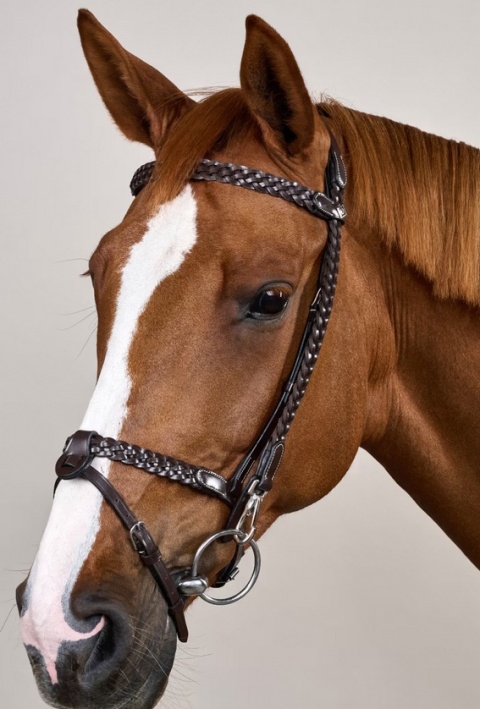 Ogłowie Dy'on Working Plaited z karabińczykami