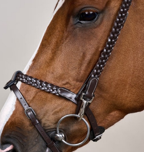 Ogłowie Dy'on Working Plaited z karabińczykami